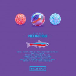 Mini Box de billes - Neon Fish - Billes & co