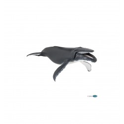 Figurines - Baleine à bosse - Papo