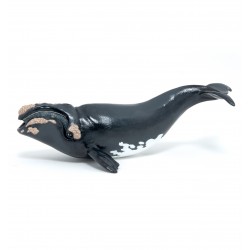 Figurines - Jeune Baleine franche - Papo